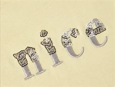 Name It double cream paillet top